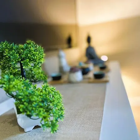 Apartament L'airzenity ~ Chill ~ Proche Gare ~ Wifi